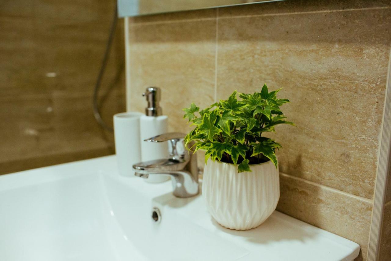 Urban Living Apartment ทิมิชัวรา ภายนอก รูปภาพ